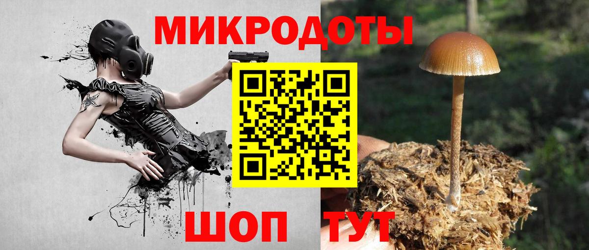 Заволжье  Галлюциногенные грибы мухоморы  Вход с VPN  Псилоцибиновые грибы прущие грибы 